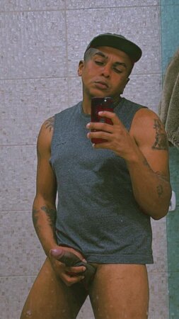Foto 2 de Lobo Dot